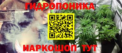 твердый Лесосибирск