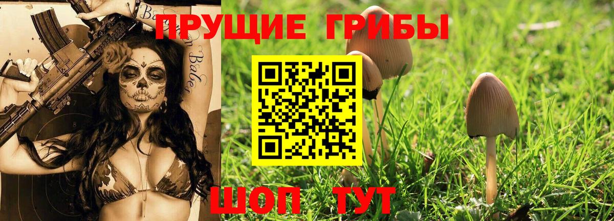 Галлюциногенные грибы ЛСД  Вход с VPN  Тулун  Галлюциногенные грибы MAGIC MUSHROOMS 
