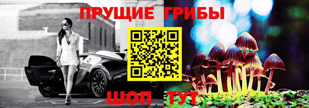 Галлюциногенные грибы прущие грибы Тулун